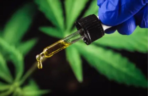 Leia mais sobre o artigo Cannabis medicinal não mostra eficácia contra ansiedade e depressão, diz nova pesquisa